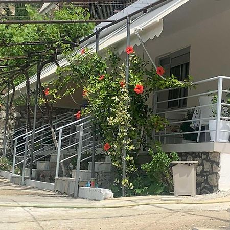 Qeparo View Rooms المظهر الخارجي الصورة