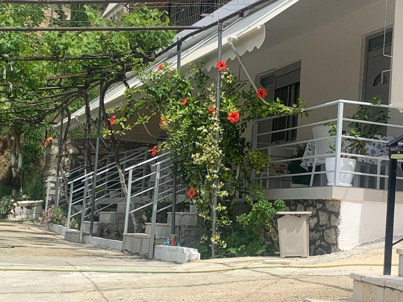 Qeparo View Rooms المظهر الخارجي الصورة